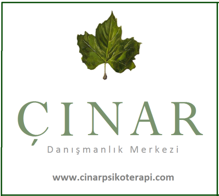 c:\users\sony\desktop\çinar\çinar yaprak tepede.png
