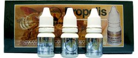 http://obatpropolis.com/wp-content/uploads/2010/03/melia-propolis23.jpg