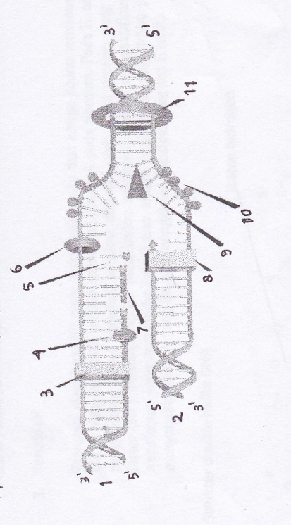 g:\scan\img.jpg