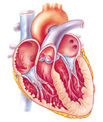 http://wps.aw.com/wps/media/objects/1631/1670499/images/ch11obj.jpg