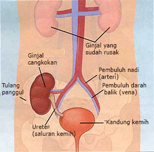 klik disini untuk memperbesar gambar