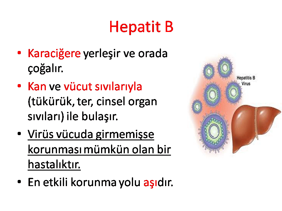 hepatit türleri ile ilgili görsel sonucu