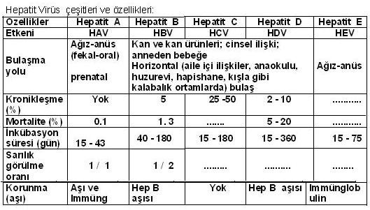 hepatit türleri ile ilgili görsel sonucu