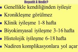 hepatit türleri ile ilgili görsel sonucu