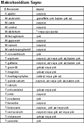 http://www.mikrobiyoloji.org/tr/genel/resimgoster.aspx?dil=1&belgeanah=3503&resimisim=g110014000_4.gif