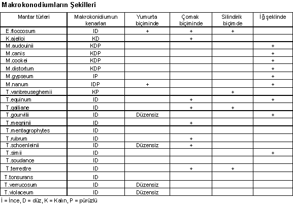 http://www.mikrobiyoloji.org/tr/genel/resimgoster.aspx?dil=1&belgeanah=3503&resimisim=g110014000_6.gif