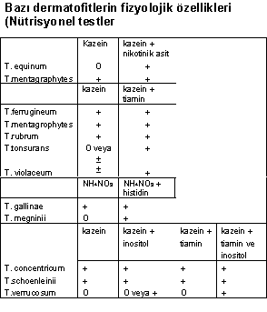 http://www.mikrobiyoloji.org/tr/genel/resimgoster.aspx?dil=1&belgeanah=3507&resimisim=g110014200_5.gif