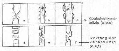 http://www.mikrobiyoloji.org/tr/genel/resimgoster.aspx?dil=1&belgeanah=3501&resimisim=j110013900_1.jpg