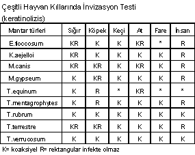 http://www.mikrobiyoloji.org/tr/genel/resimgoster.aspx?dil=1&belgeanah=3507&resimisim=j110014200_4.gif
