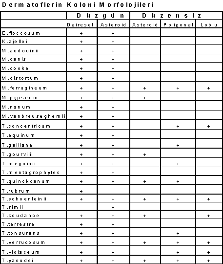 http://www.mikrobiyoloji.org/tr/genel/resimgoster.aspx?dil=1&belgeanah=3503&resimisim=g110014000_1.gif