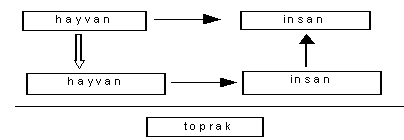 http://www.mikrobiyoloji.org/tr/genel/resimgoster.aspx?dil=1&belgeanah=3479&resimisim=g110013800_2.gif