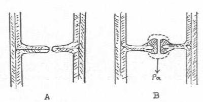 http://www.mikrobiyoloji.org/tr/genel/resimgoster.aspx?dil=1&belgeanah=3491&resimisim=j110013400_3.jpg