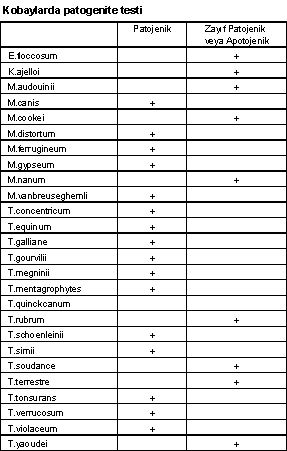 http://www.mikrobiyoloji.org/tr/genel/resimgoster.aspx?dil=1&belgeanah=3507&resimisim=j110014200_2.gif
