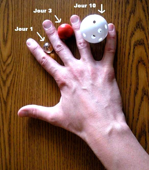 belly size.jpg