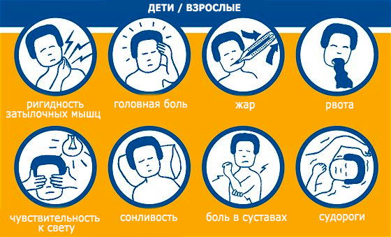 признаки менингита у взрослых