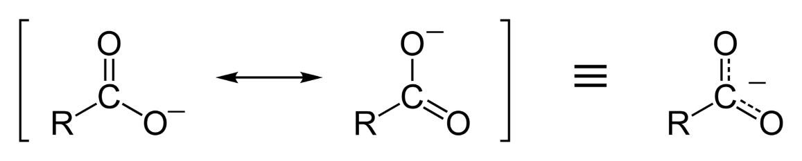 equivalence of the resonance forms the delocalised form of a general carboxylate anion