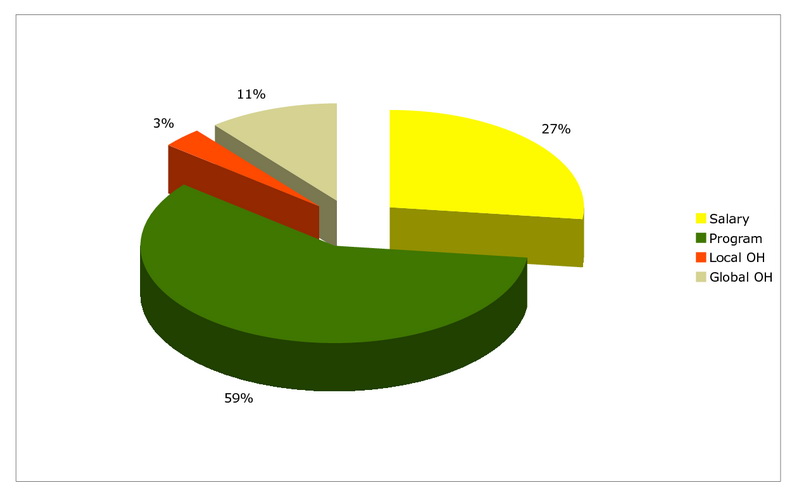 figure 5 reach budget by expense categories
