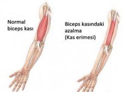 http://i.ensonhaber.com/resimler/diger/esh4164_8.jpg