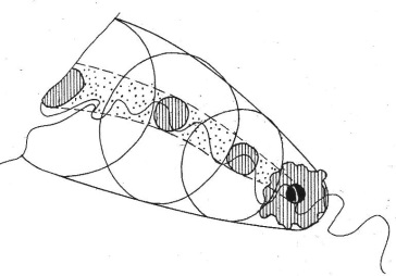 img00111_0