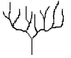 drevo_0