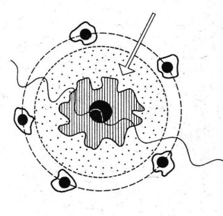 img00111_0