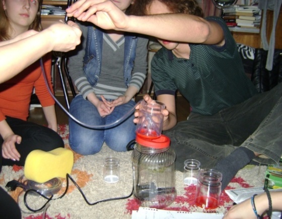 l:\adam cristina\poze proiect\dsc01231.jpg