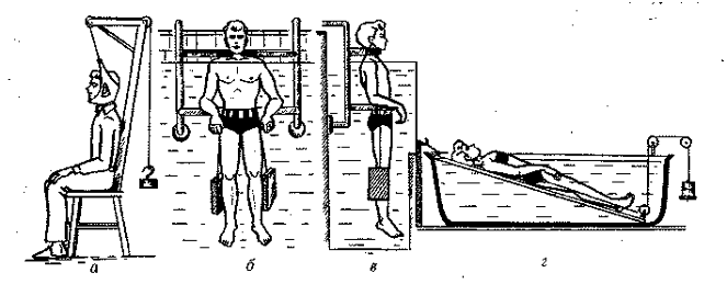 http://physiotherapy.narod2.ru/nervnoi_sistemi/138.png?rand=41256237510564