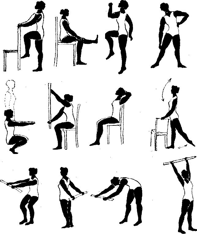http://physiotherapy.narod2.ru/nervnoi_sistemi/137.png?rand=68280882139372