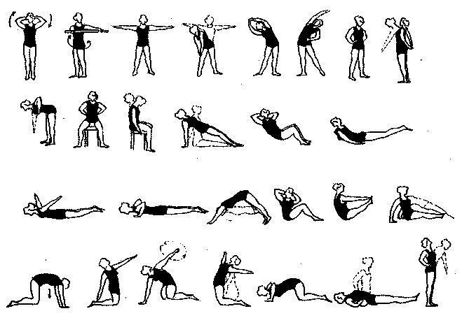 http://physiotherapy.narod2.ru/nervnoi_sistemi/125.png?rand=4230355348201