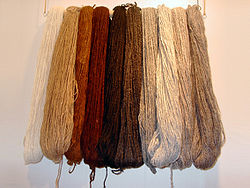 https://upload.wikimedia.org/wikipedia/commons/thumb/9/9a/alpackaull.jpg/250px-alpackaull.jpg