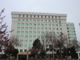 dsmf-foto-6