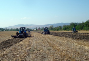 torpaq
